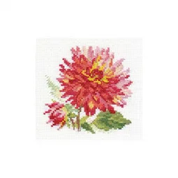 (D)Dahlia S0-139