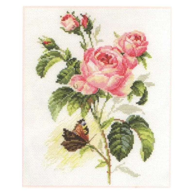 Rožė ir drugelis S2-13