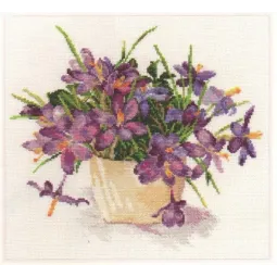 (D) Žydintis sodas. Crocuses S2-26
