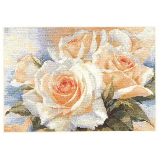 Baltos rožės S2-32