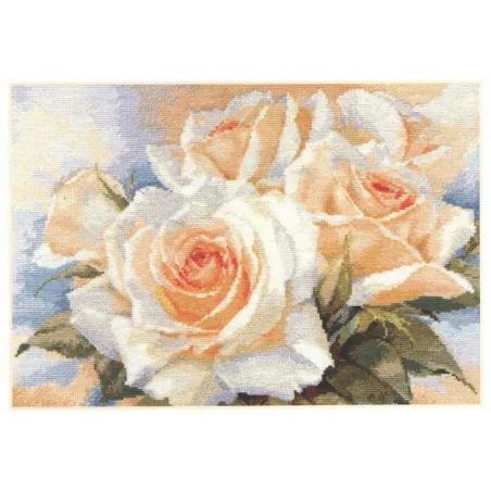 Roses blanches S2-32