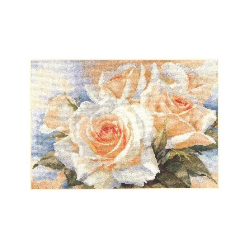 Roses blanches S2-32