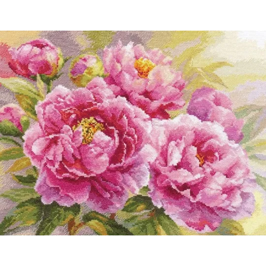 Peonies S2-35