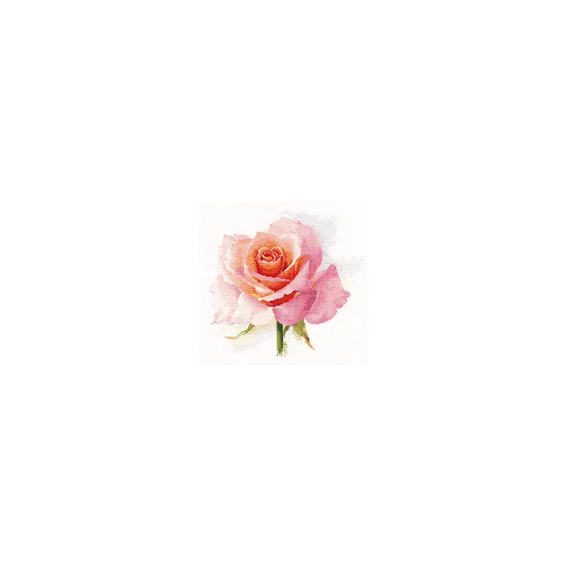 Rožių švelnumas S2-40