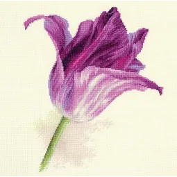Tulpes. Lilac Velvet S2-44