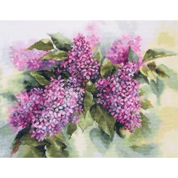 Watercolor Lilac S2-45
