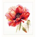 Bright Red Poppy S2-46