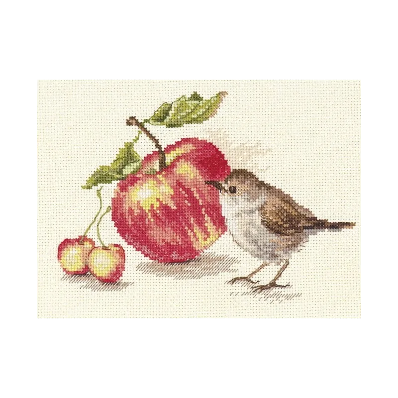 Paukštis ir obuolys S5-22