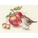 Paukštis ir obuolys S5-22