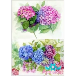 Rice card for decoupage "Hydrangeas No. 1" 21x29 cm AM400002D