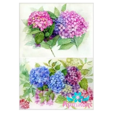 Rice card for decoupage "Hydrangeas No. 1" 21x29 cm AM400002D