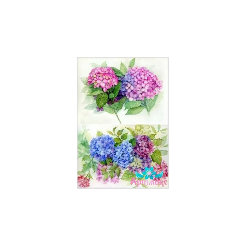 Rice card for decoupage "Hydrangeas No. 1" 21x29 cm AM400002D