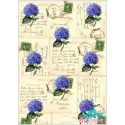 Carte de riz pour découpage "Lettres et hortensias" 21x29 cm AM400038D