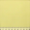 Petits Pois Jaunes AM555029T