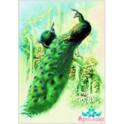 Ryžių kortelė dekupažui "Peacock" 21x29 cm AM400107D