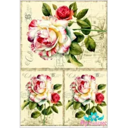 Carte de riz pour decoupage "Roses sur un vieux fond" 21x29 cm AM400127D