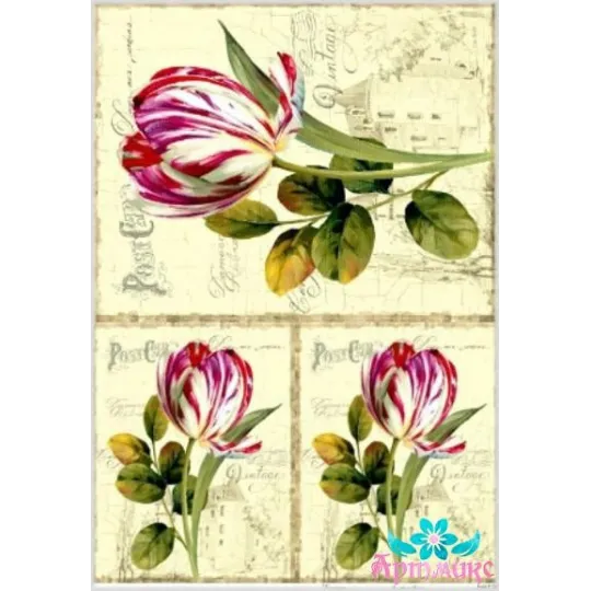 Ryžių kortelė dekupažui „Tulpės sename fone“ 21x29 cm AM400128D