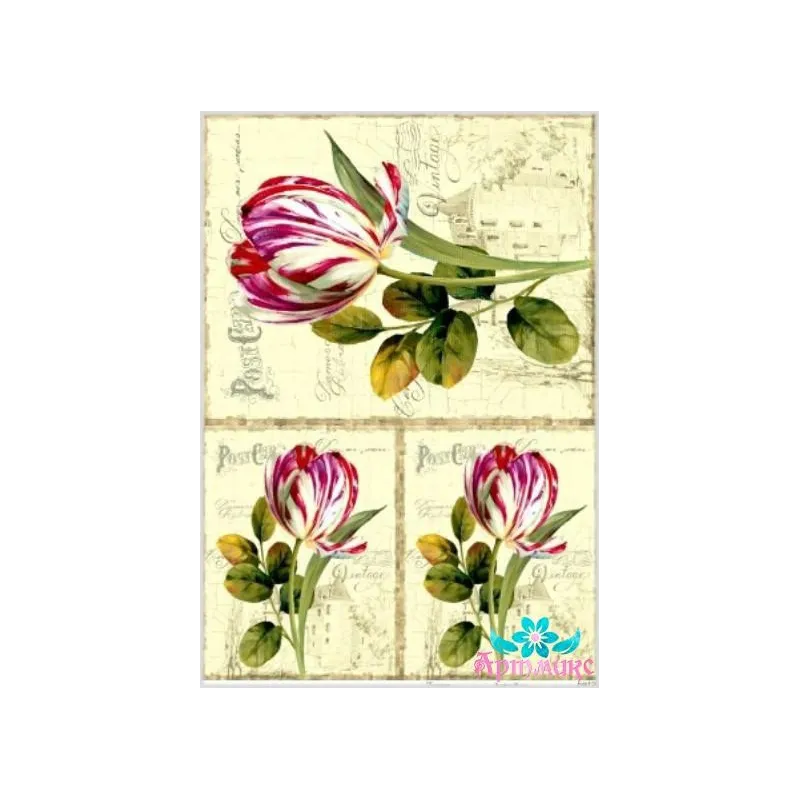 Carte de riz pour découpage "Tulipes sur fond ancien" 21x29 cm AM400128D