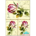 Carte de riz pour découpage "Tulipes sur fond ancien" 21x29 cm AM400128D