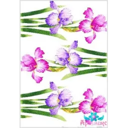 Reiskarte für Decoupage "Iris No. 2" 21x29 cm AM400134D