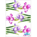 Reiskarte für Decoupage „Iris Nr. 2“ 21x29 cm AM400134D