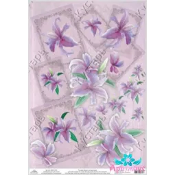 Rice card for decoupage "Lilies with frames" 21x29 cm AM400155D