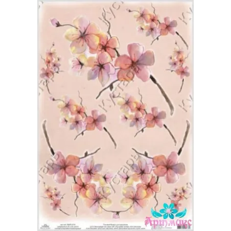 Carte de riz pour découpage "Magnolia délicat" 21x29 cm AM400164D