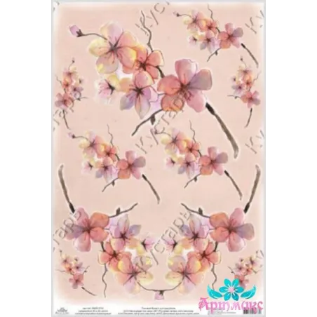 Ryžių kortelė dekupažui "Delicate magnolia" 21x29 cm AM400164D