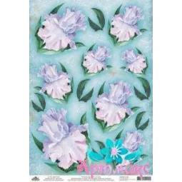 Rice card for decoupage "Delicate irises on a turquoise background" 21x29 cm AM400178D