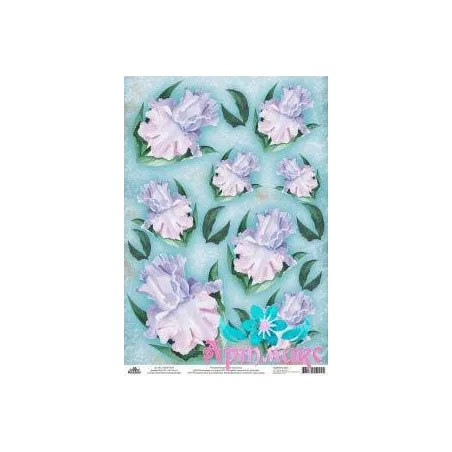 Reiskarte für Decoupage „Zarte Iris auf türkisfarbenem Hintergrund“ 21x29 cm AM400178D