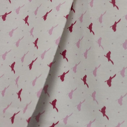 Paukščiai ir Širdys N1 AM558009T