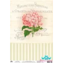 Rice card for decoupage "Vintage motives, hydrangea No. 5" size: 21*30 cm AM400359D