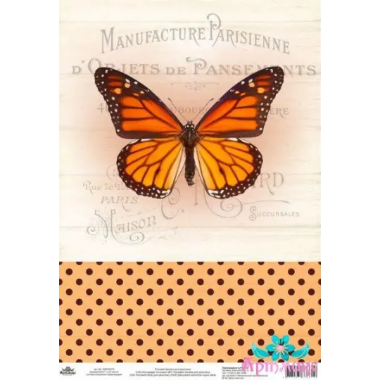 Rice card for decoupage "Vintage motives, butterfly number 2" size: 21*30 cm AM400375D