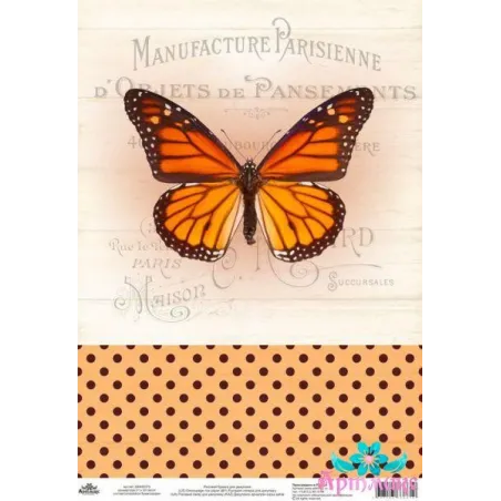 Rice card for decoupage "Vintage motives, butterfly number 2" size: 21*30 cm AM400375D