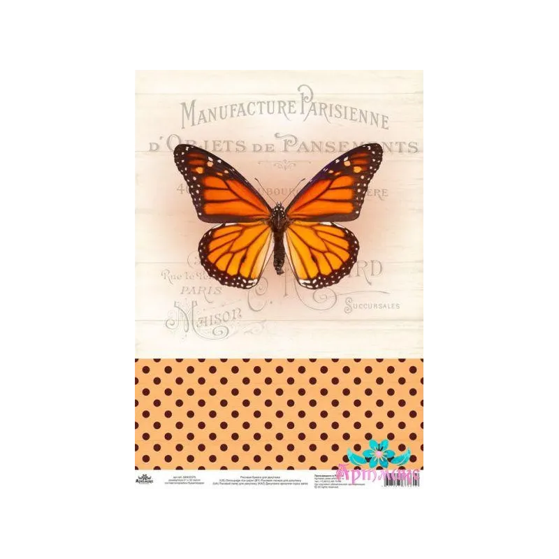 Carte de riz pour découpage "Motifs vintage, papillon numéro 2" taille : 21*30 cm AM400375D