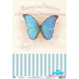 Rice card for decoupage "Vintage motives, butterfly number 4" size: 21*30 cm AM400383D