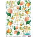 Rice card for decoupage old motives "Girls, hydrangeas, peaches" size: 21*30 cm AM400233D