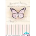 Rice card for decoupage "Vintage motives, butterfly number 7"  size: 21*30 cm AM400395D