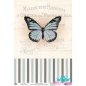Reispapier für Decoupage "Vintage Motive, Schmetterling Nummer 10" Größe: 21*30 cm AM400407D
