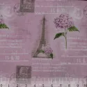 Paryžiaus hortenzija N7 AM612007T