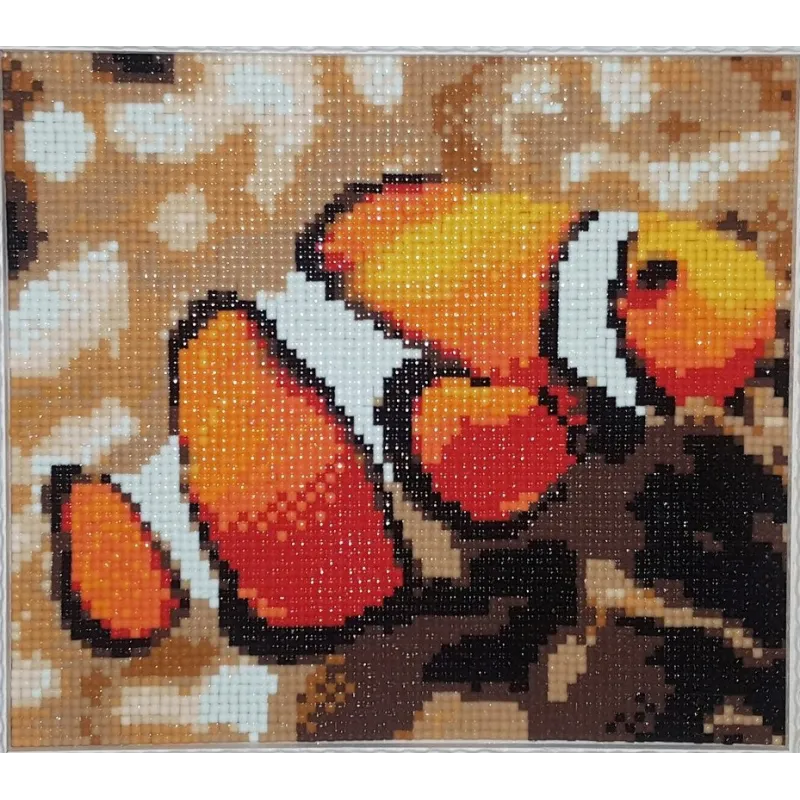 Deimantų tapybos rinkinys Clown Fish 20х18 cm AZ-1061