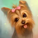 Diamond Painting Kit Yorkshire Terrier 25x25 cm AZ-1136