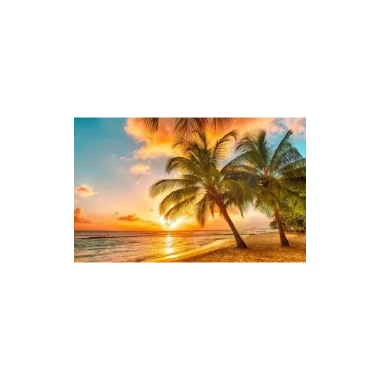 Kit de peinture diamant Coucher de soleil tropical 60х38 cm AZ-1063