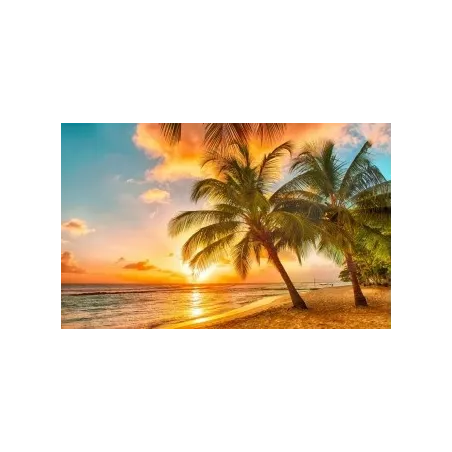 Kit de peinture diamant Coucher de soleil tropical 60х38 cm AZ-1063