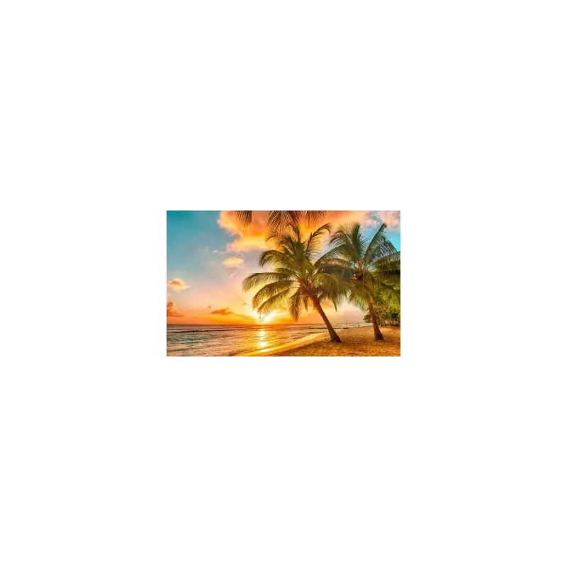 Kit de peinture diamant Coucher de soleil tropical 60х38 cm AZ-1063