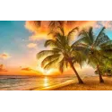 Diamond painting kit Tropical Sunset 60х38 cm  AZ-1063