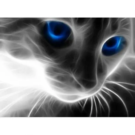 Kit de peinture diamant Look de chat 30х40 cm AZ-1232