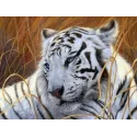 (Discontinued) Diamond painting kit White Tiger AZ-1401