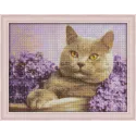 Kit de peinture diamant Chat dans le lilas 40х30 cm AZ-1417