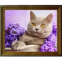 Diamond painting kit Cat in the Lilac 40х30 cm AZ-1417